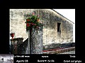 N° (8)  Foto del Mese (Agosto 08) Autore Boaretti Scilla TitoloColori sul grigio